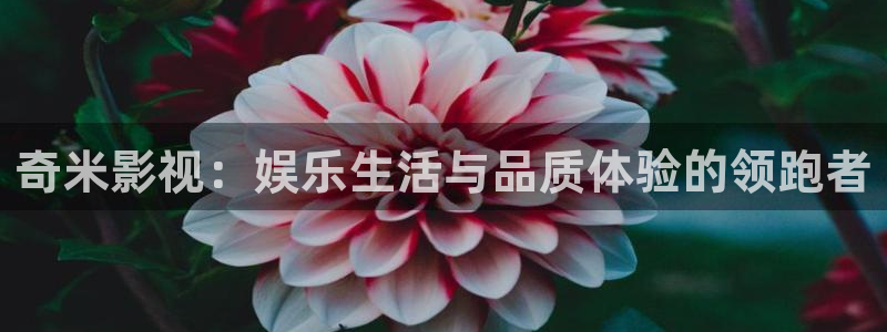 《四库影视》电视剧在线观看-好看影院：奇米影视：娱乐生活与品质体验的领跑者