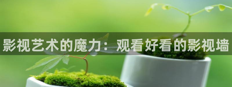 好看影院大全：影视艺术的魔力：观看好看的影视墙