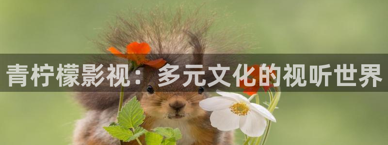 好看影院在线观看电影：青柠檬影视：多元文化的视听世界