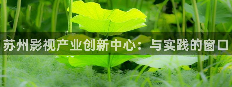 四虎好看影院：苏州影视产业创新中心：与实践的窗口