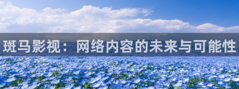 好看影院在线观看电影：斑马影视：网络内容的未来与可能性