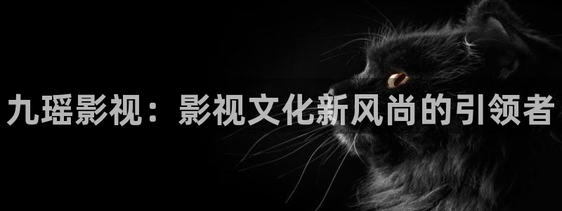 好看影院在线观看电影：九瑶影视：影视文化新风尚的引领者