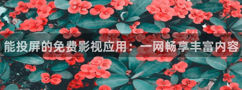 《四库影视》电视剧在线观看-好看影院：能投屏的免费影视应用：一网畅享丰富内容