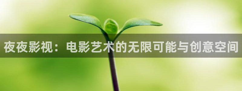 四虎好看影院：夜夜影视：电影艺术的无限可能与创意空间