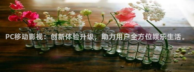 好好看影院：PC移动影视：创新体验升级，助力用户全方位娱乐生活。