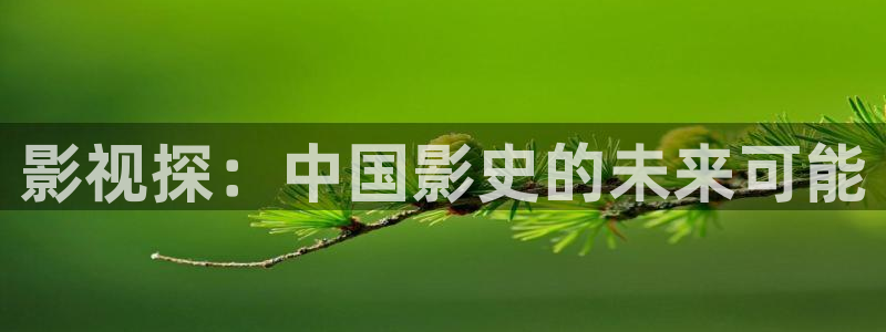 《四库影视》电视剧在线观看-好看影院：影视探：中国影史的未来可能