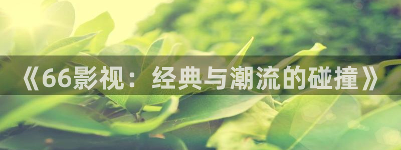 四虎好看影院：《66影视：经典与潮流的碰撞》