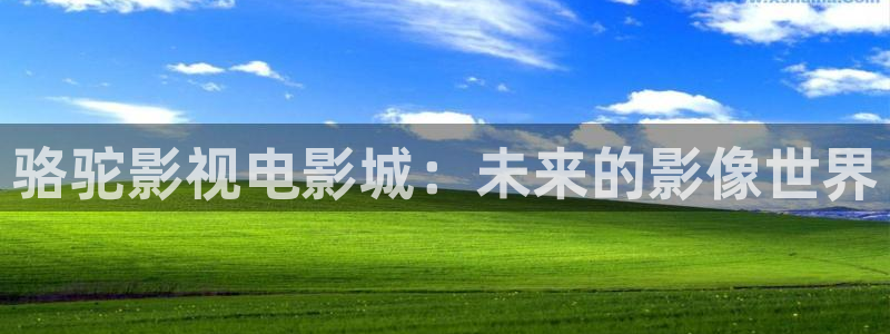 《四库影视》电视剧在线观看-好看影院：骆驼影视电影城：未来的影像世界
